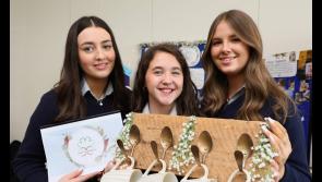 Team from Pobalscoil Ghaoth Dobhair awarded marketing and finance award 