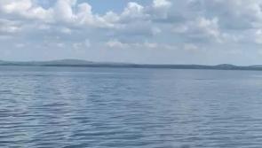 Watch: Dolphins continue to book their holidays in Donegal 