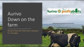 Watch: Well known Donegal farmer features in Aurivo Down on the farm video