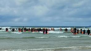 Watch: Swimmers take to the water for the Bundoran Big Swim 