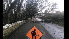 Fallen trees at the Mall Ballyshannon - Road closed 