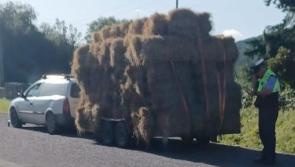 NATIONAL: 'Last straw' for gardaí as they seize this vehicle for very obvious reason