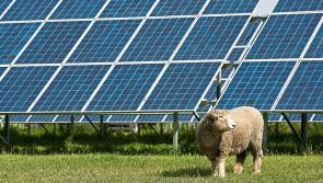 Enterprise Ireland encourages Donegal companies to start planning for green future now