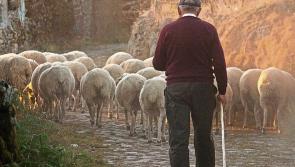 Illegal invasion poses challenges for farmers

