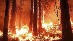 Donegal software firm helping Australian battle against devastating wildfires