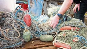 Donegal-based organisation is granted official EU Seafood Producer status
