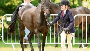 Weather hits another Donegal show as Ballyshannon Show is cancelled