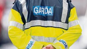 Elderly man has died following Lifford collision