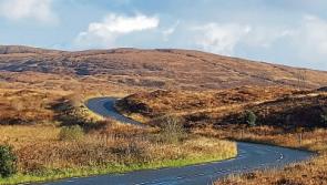Concerns over car collisions with deer