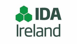 'Only 11 Donegal site visits by IDA' - claim