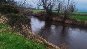 Four Donegal angling development projects allocated €45,000 