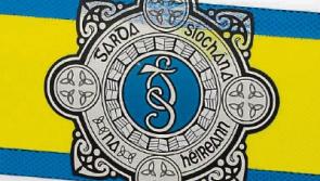 Two suspicious men flee Athgarvan home after being spotted by occupant