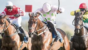 THE PUNTER'S EYE: Three horses worth backing this weekend 