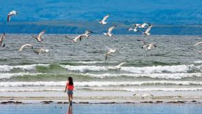 Warning issued to Donegal bathers