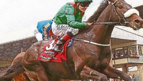 THE PUNTER'S EYE: Irish Derby Special 