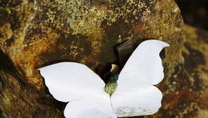 Sadness at death of popular retired Donegal businessman - the late Willie Cunningham, Bundoran and Glencolmcille 