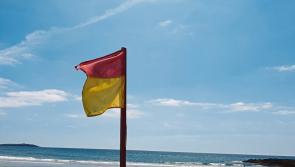 Council asked to transfer lifeguard to Ludden while Lisfannon remains closed