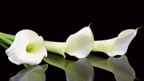 Deaths in Donegal - Thursday morning, September 23, 2021