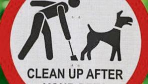 Dog fouling and littering increasing across Donegal 