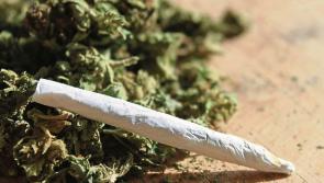Cannabis found behind sofa of professional graduate, court hears