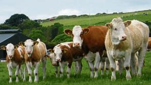 Farming For Nature Awards now open