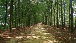 Unrestricted access to our uplands is not a public right says INHFA