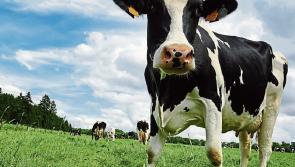National: High level of farmers experience stress and  have twice the level of 'likely depression'
