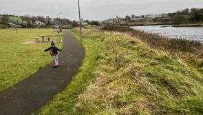 McHugh's Miscellany: Could Brigid's bank holiday be the start of the four day working week? 