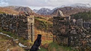 Focus on Donegal for Falcarragh photographer James O'Donnell in Florida