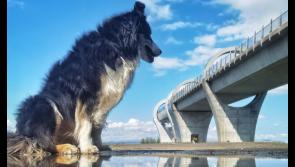 Iggy enjoys  Shinty, Nessie, a royal room and meeting the relatives