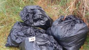 McHugh's Miscellany: Isn’t it time we put these ‘rubbish' stories to bed! 