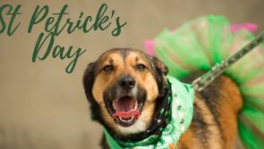 Bundoran to host “St PETrick’s Day” and broadcast live!