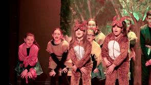 Gallery: Robin Hood and Babes in the Woods at St John Bosco Centre Donegal Town