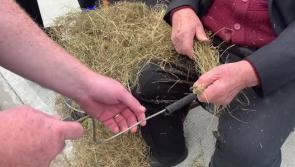 Watch Conaill Ó Coilín demonstrate how to make súgán at Glenties Harvest Fair