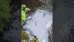 WATCH: Serious concern over oil on Donegal river and estuary