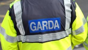 National: Man threatened to 'bite the faces off' gardaí before allegedly biting one on the hand