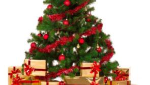 Is it too early to go Christmas shopping - what do our readers think?