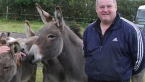 Increasing costs cripple those at Donegal Donkey Sanctuary 