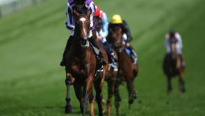 Donegal horse race meeting  set go ahead tomorrow at Porthall