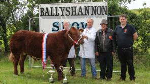Important announcement on Ballyshannon Agricultural Show  2021