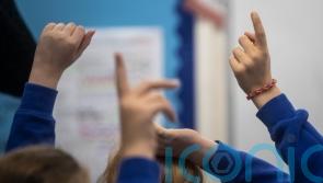'Unlawful' plan to create special school centres slammed by children's rights expert