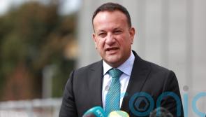 ‘Many ways to skin a cat’ says Taoiseach of potential tax measures in Budget