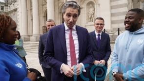 Simon Harris condemns ‘reprehensible behaviour’ at Co Wicklow asylum protest
