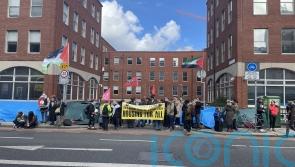 ‘Ignorant’ use of language by Helen McEntee is ‘recycling far-right rhetoric’