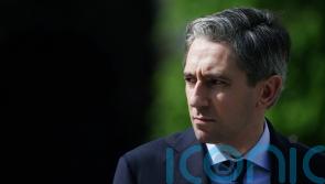 Harris hails ‘Team Ireland’ operation as 163 migrants are removed from camp