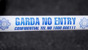 BREAKING: Man hospitalised following major garda standoff with driver barricaded in van blocking road
