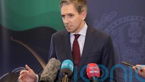 Any move to trigger election will not be surprise to coalition partners – Harris