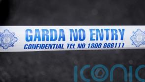 Man dies after being struck by vehicle in car park in Co Cork