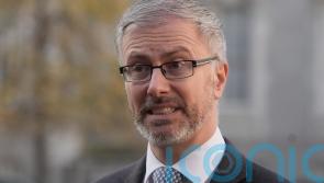 Man charged after alleged assault on Roderic O’Gorman during election canvass