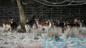 Emergency team meeting as country braces for ‘multi-hazard weather event’